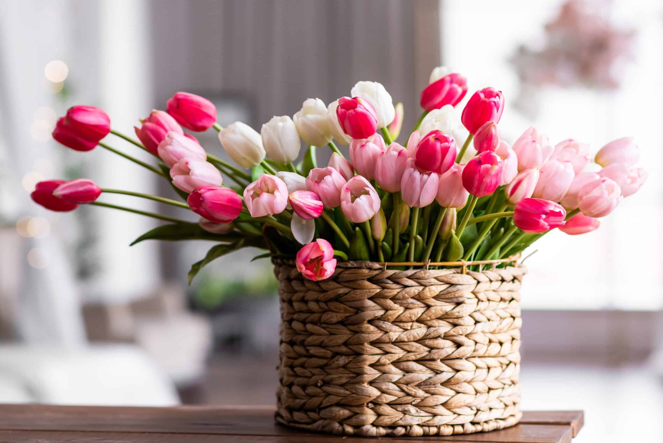 Experience Elite Living at Dotom Blumen: Mumbai's New Landmark